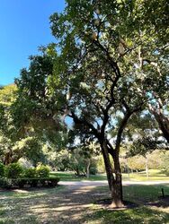 Queen Astrid Park (D10), Detached #451877941